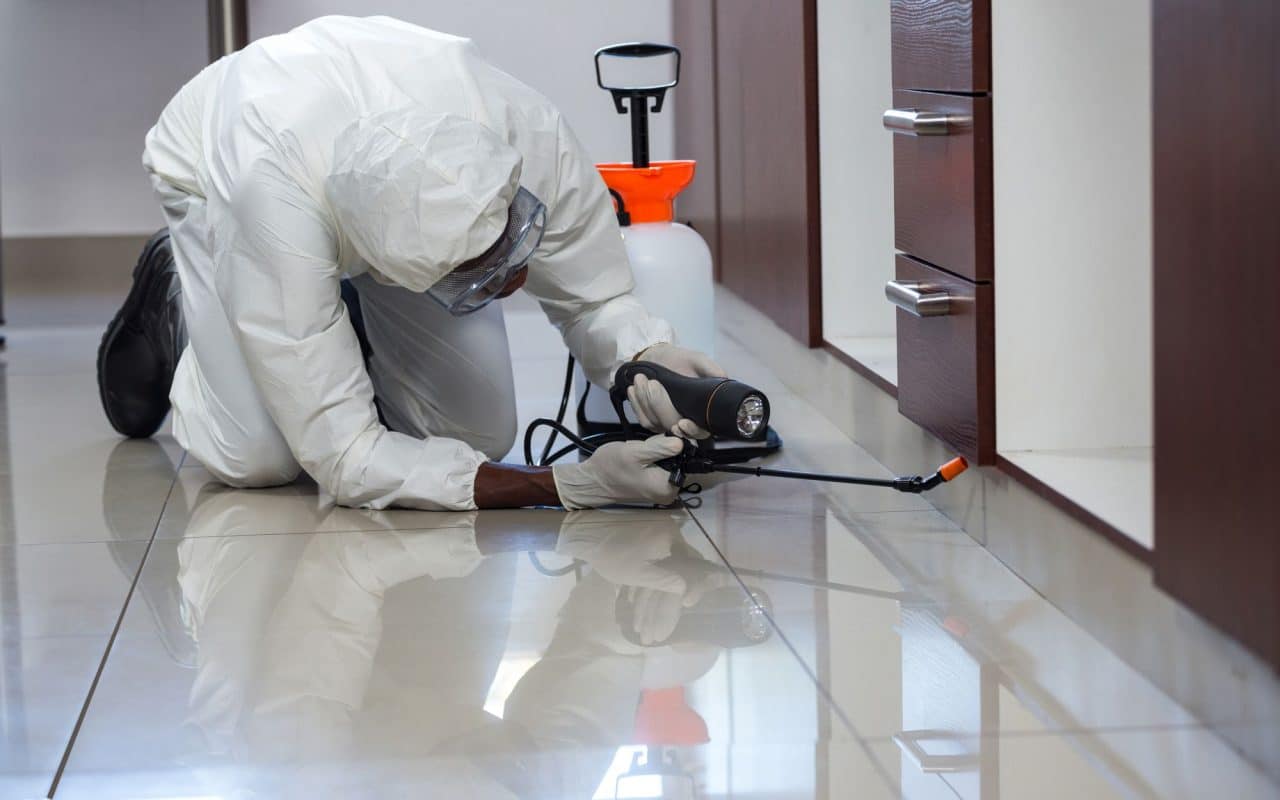Pest control technician spraying insecticide into the narrow gap under a kitchen cabinet