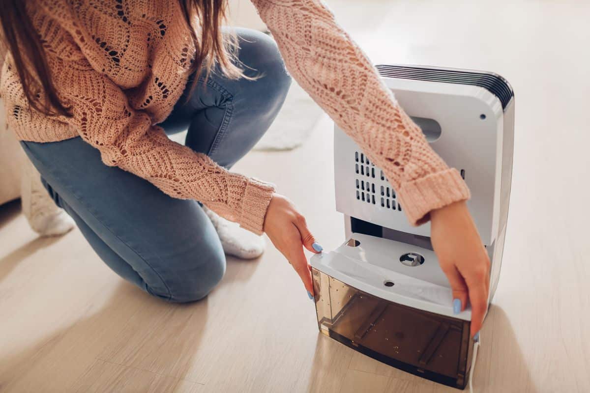 Person lifting the full water tank out of a home dehumidifier to empty it
