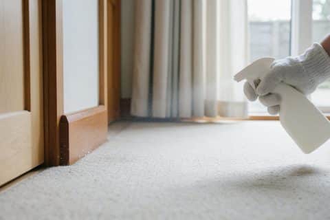 Gloved pest control worker spraying insecticide along an indoor surface, seen close up