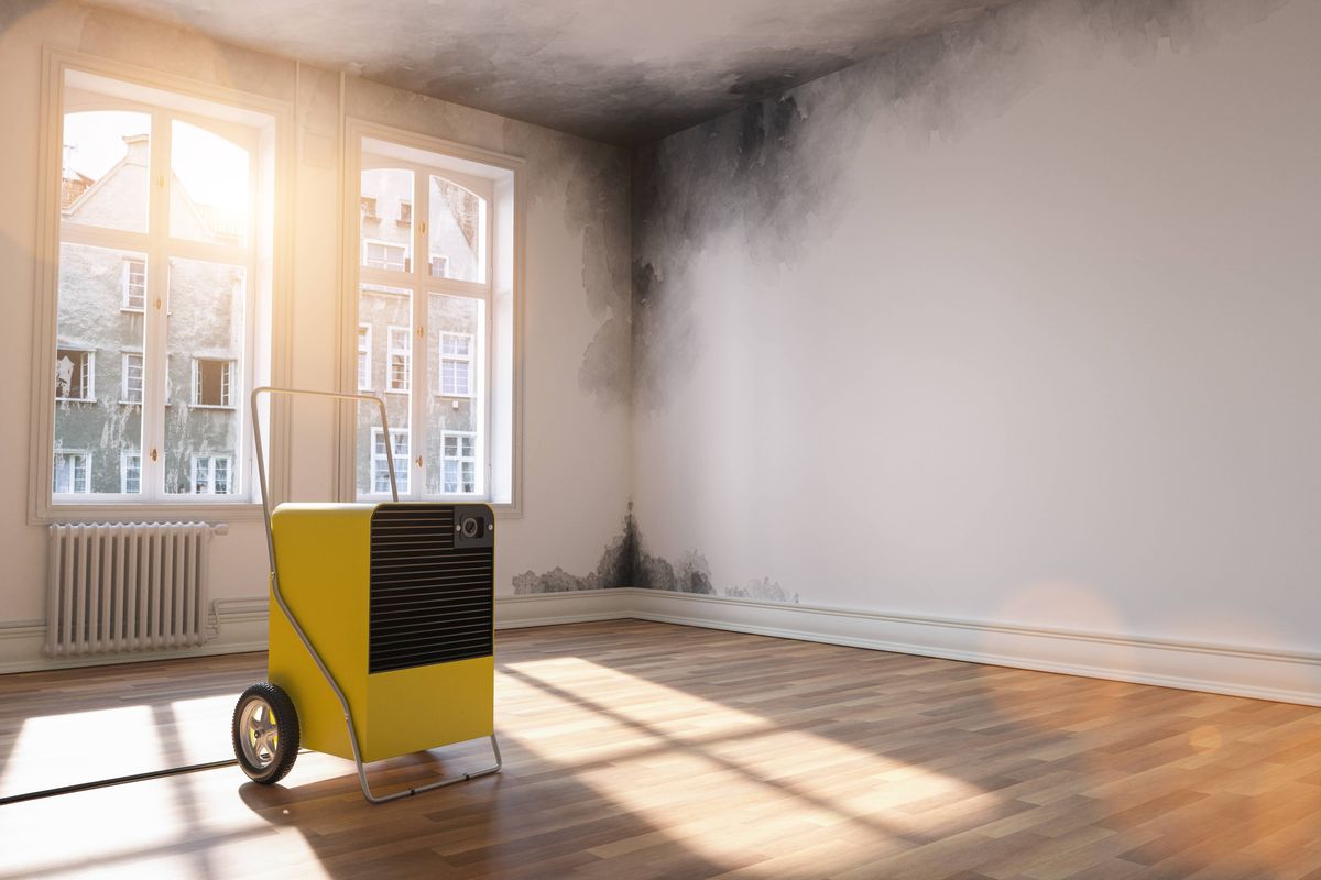 Portable dehumidifier running in a damp room with mould spreading across the wall behind it