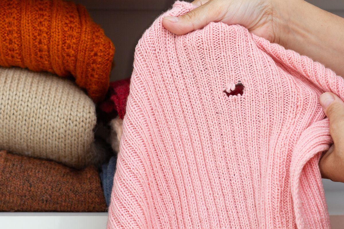 Hands holding a folded wool knit with a hole in it in front of a wardrobe shelf