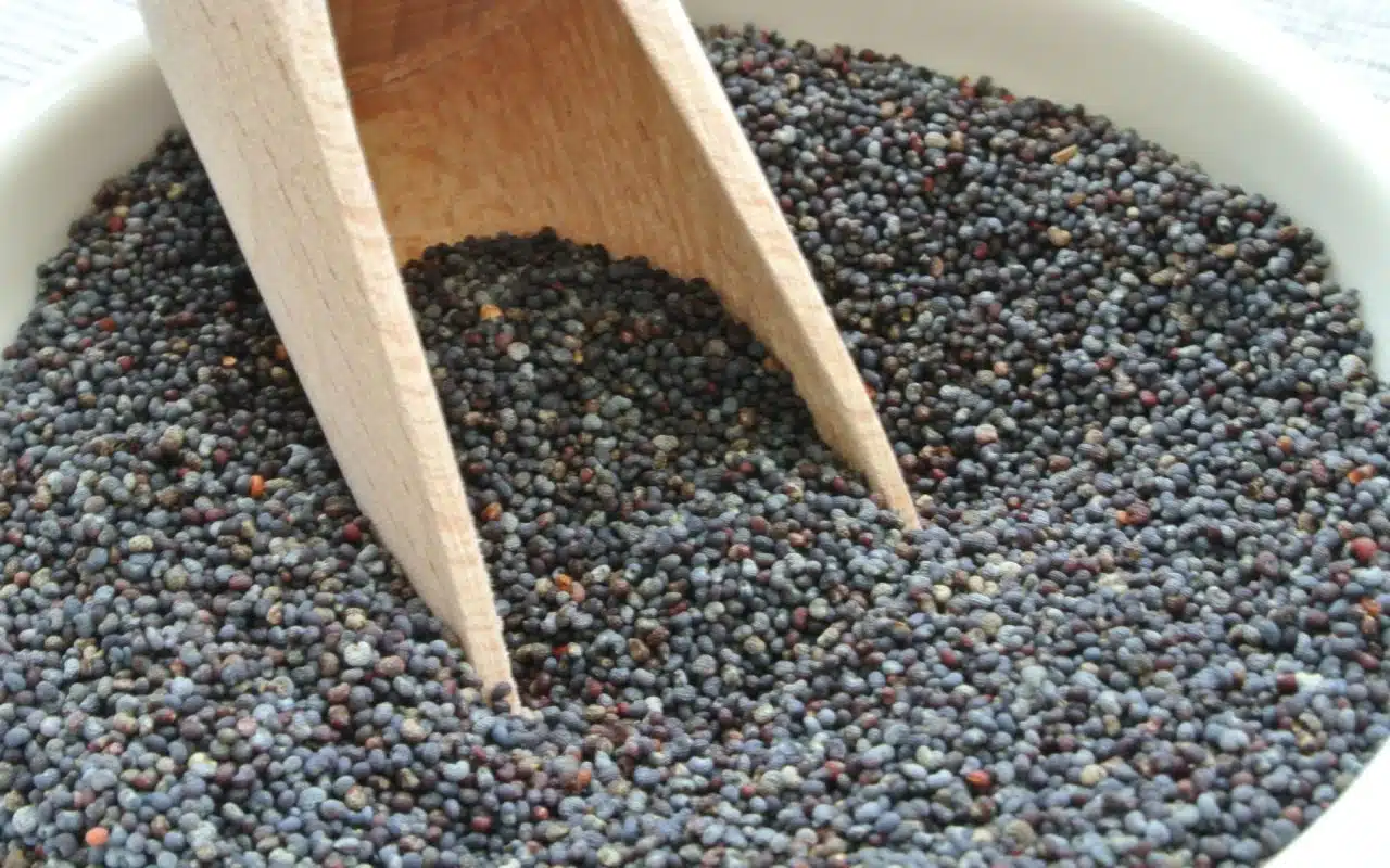 Black poppy seeds heaped in a ceramic bowl with a wooden spoon resting in them